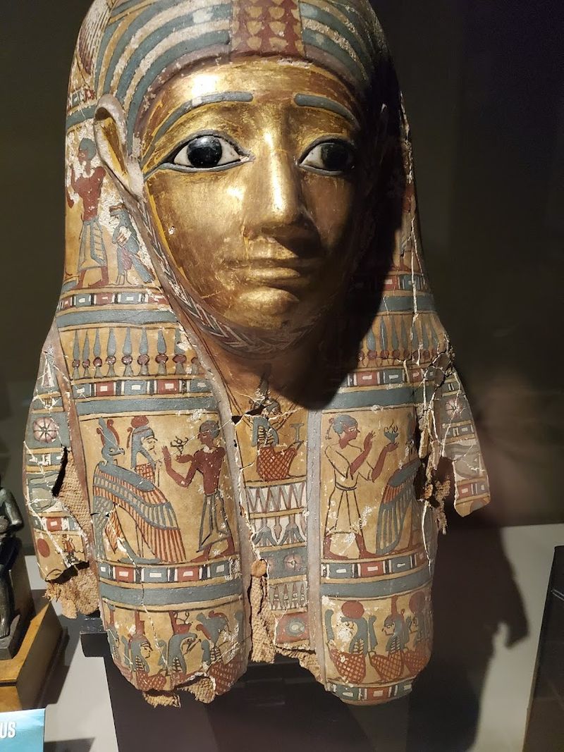 Fossils, a Real Mummy, and Specimens Worth a Second Look