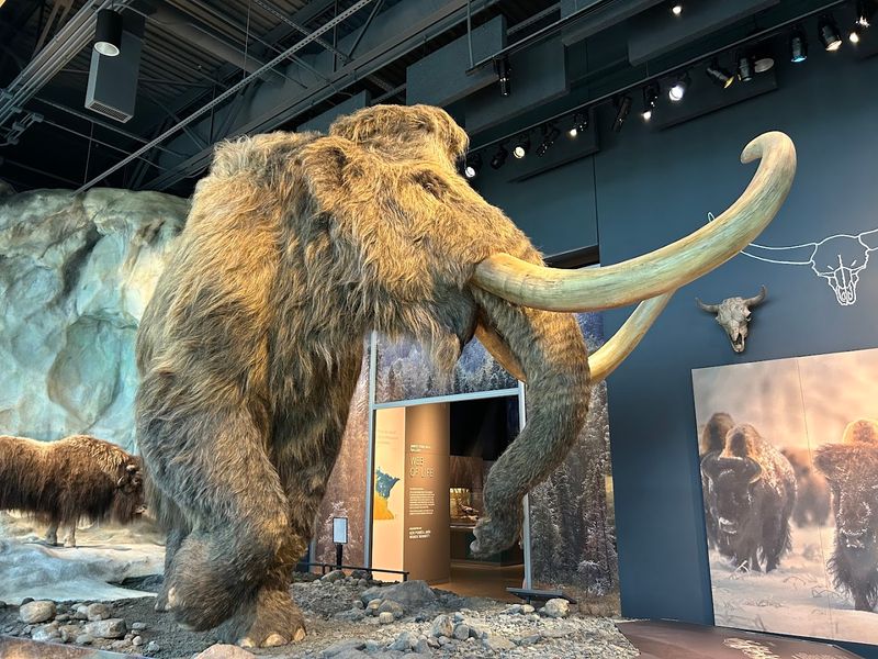 Fossils and Ancient Creatures That Reframe Minnesota's Past Fossils and Ancient Creatures That Reframe Minnesota's Past