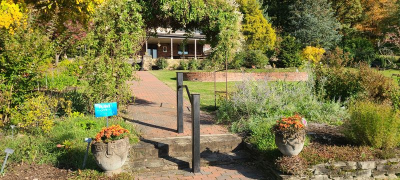 Free Admission and Guided Tours That Actually Deliver