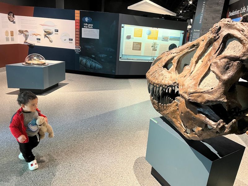 Free Admission and What That Actually Means for Your Visit Free Admission and What That Actually Means for Your Visit