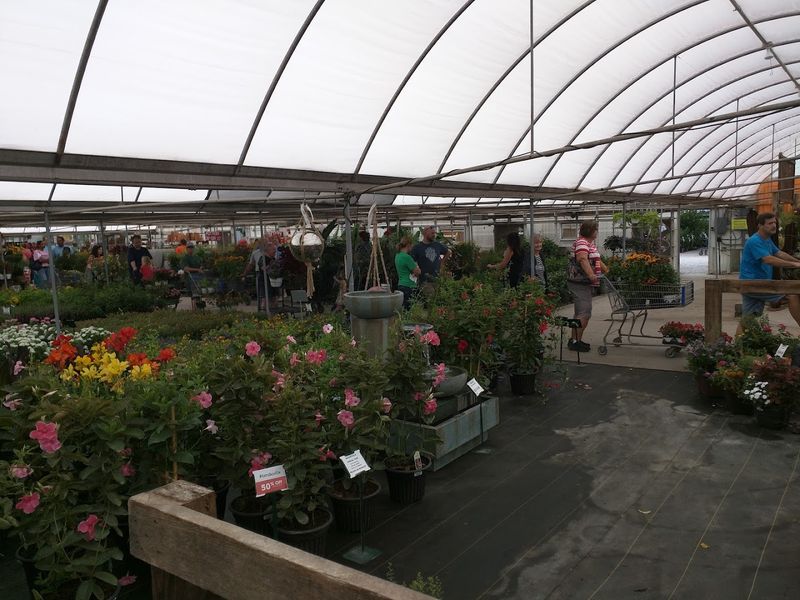 Free Seminars That Turn Beginners Into Confident Growers