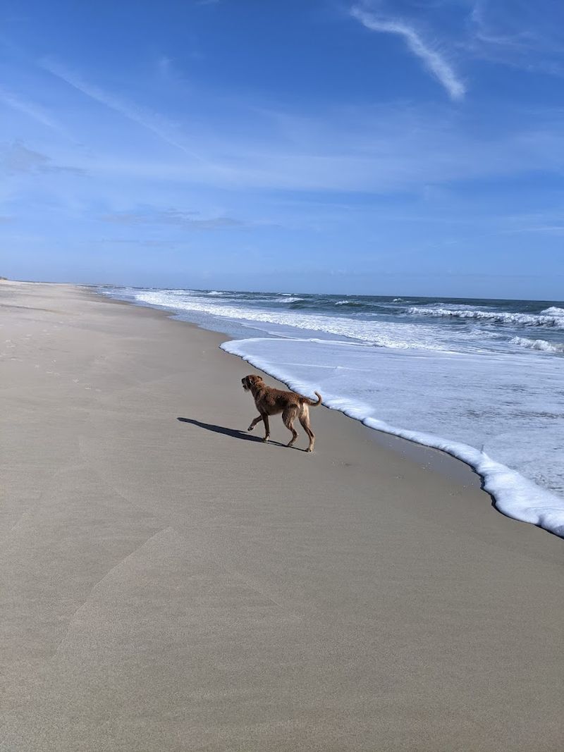 Freeman Park — Carolina Beach, North Carolina
