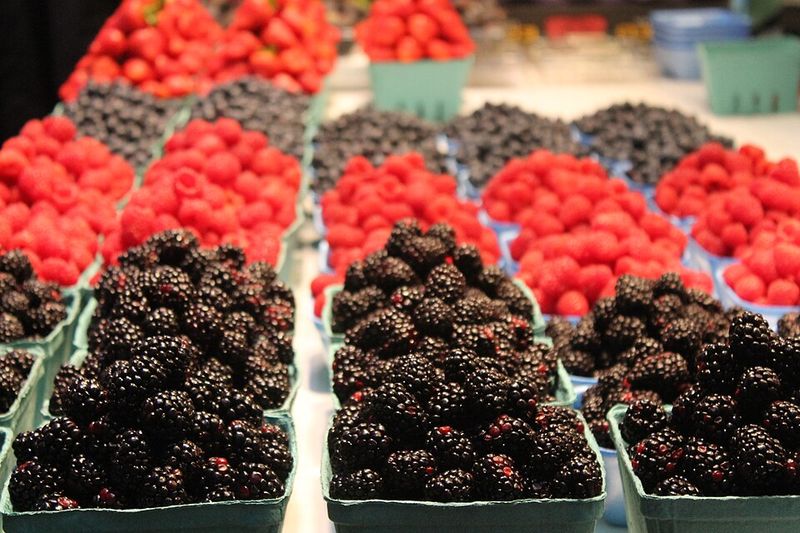 Fresh Berries Fresh Berries