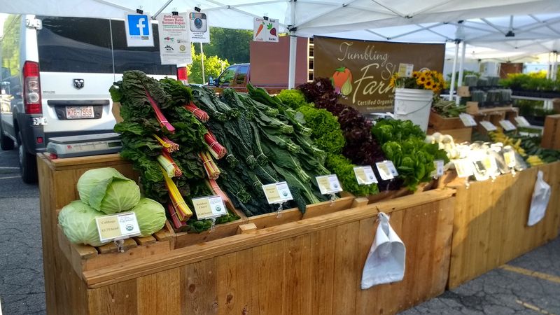 Fresh Produce That Follows the Seasons Honestly Fresh Produce That Follows the Seasons Honestly