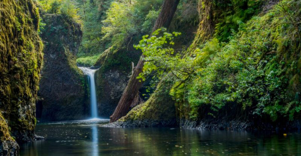 From Hidden Cascades to Iconic Giants, Here Are the 15 Best Waterfalls in Oregon