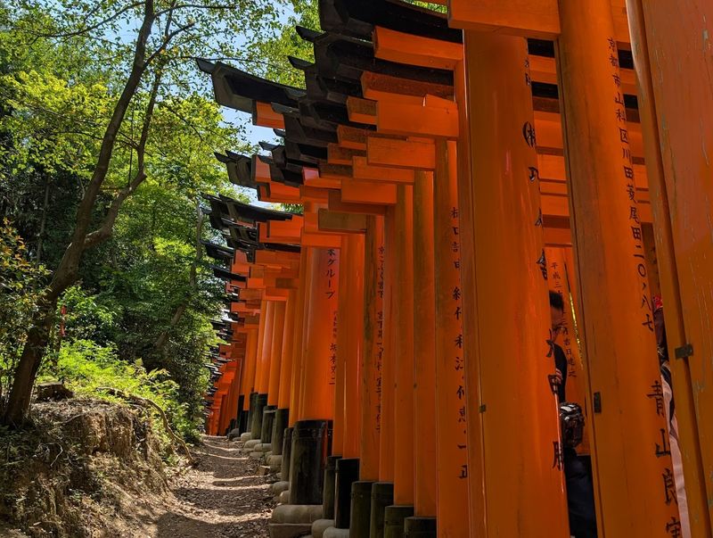 Fushimi Inari Shrine (Japan) Fushimi Inari Shrine (Japan)