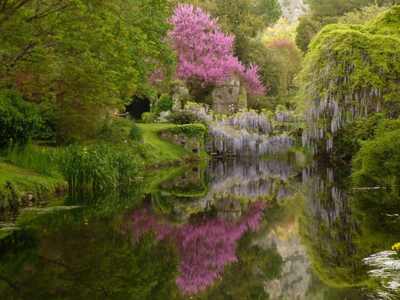 Garden of Ninfa - Cisterna di Latina, Italy