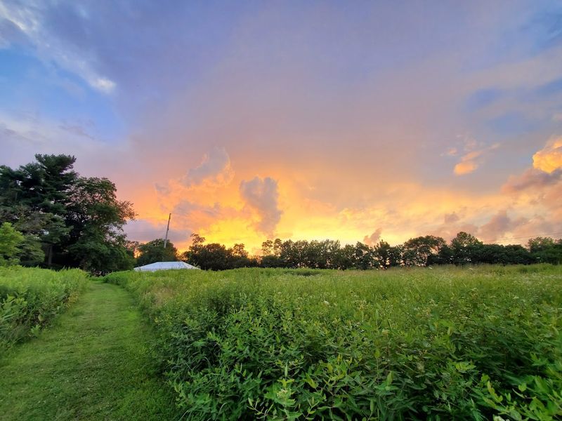 Gardens, Meadows, and the Art of Seasonal Change