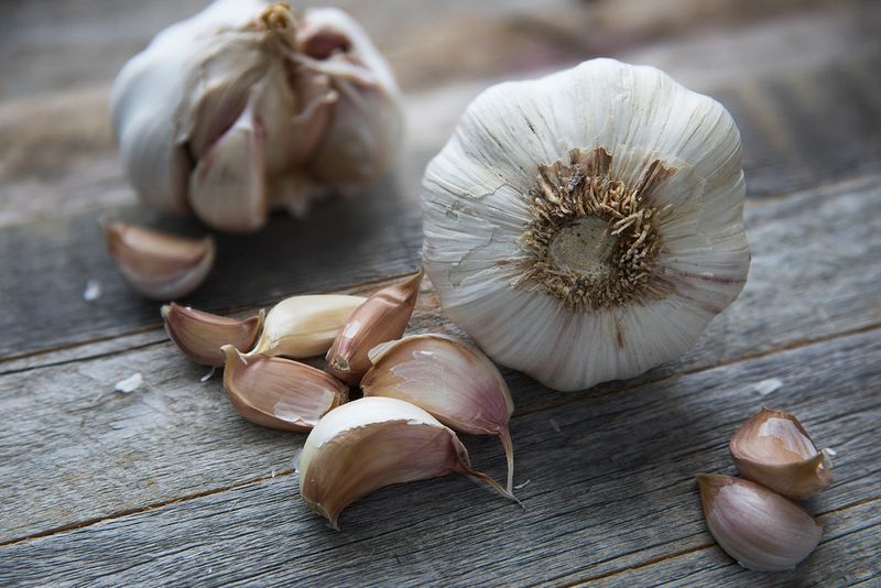 Garlic Garlic