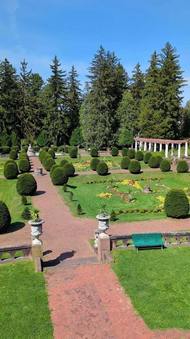 Getting Around the 50-Acre Property