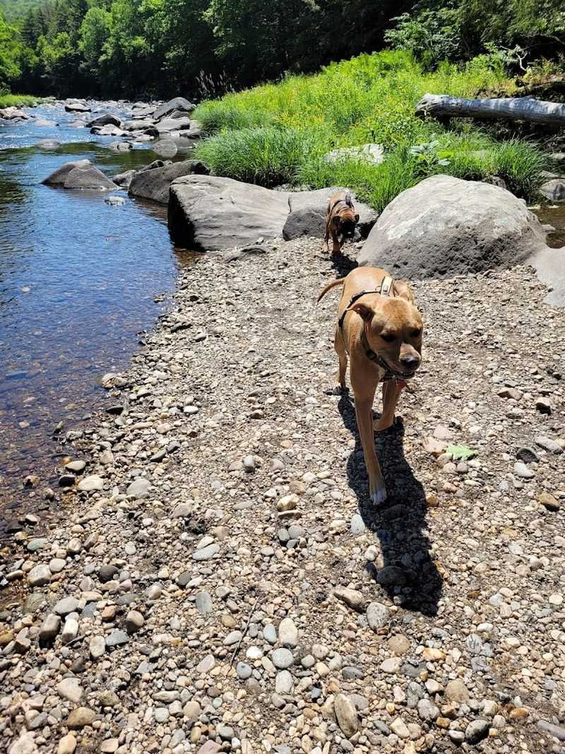 Getting Down to the Water