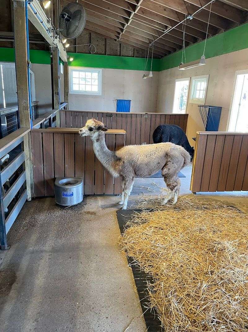 Getting Up Close at the ZooFarm