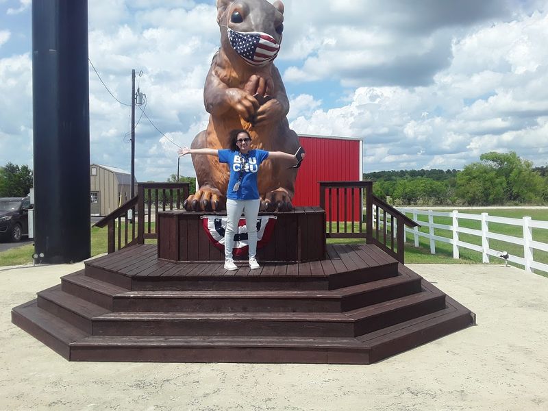 Giant Squirrel at Berdoll Pecan Farm (Cedar Creek)