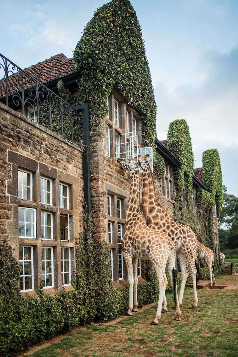 Giraffe Manor (Nairobi, Kenya)