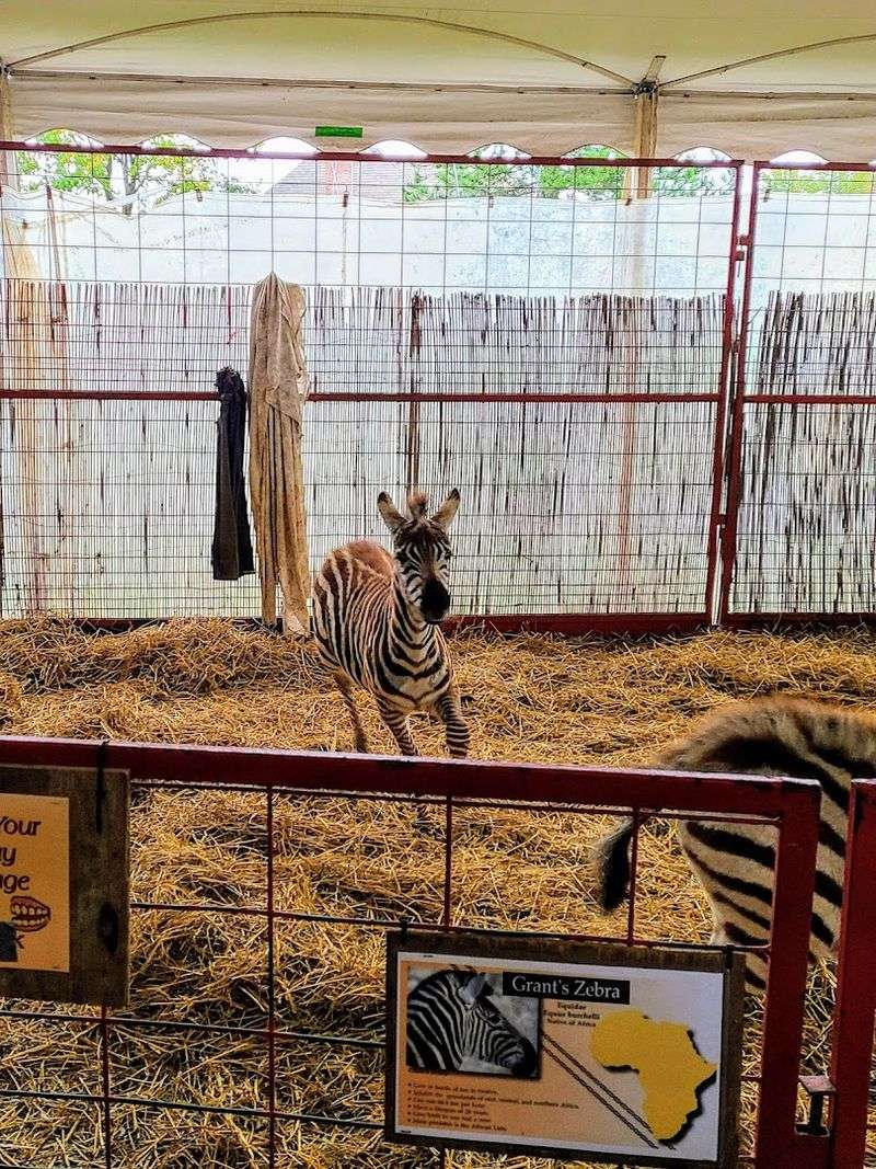 Goebbert's Farm — South Barrington, Illinois