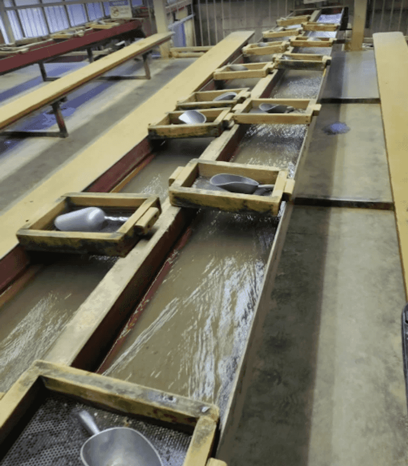 Gold Panning Comes With Every Tour Gold Panning Comes With Every Tour