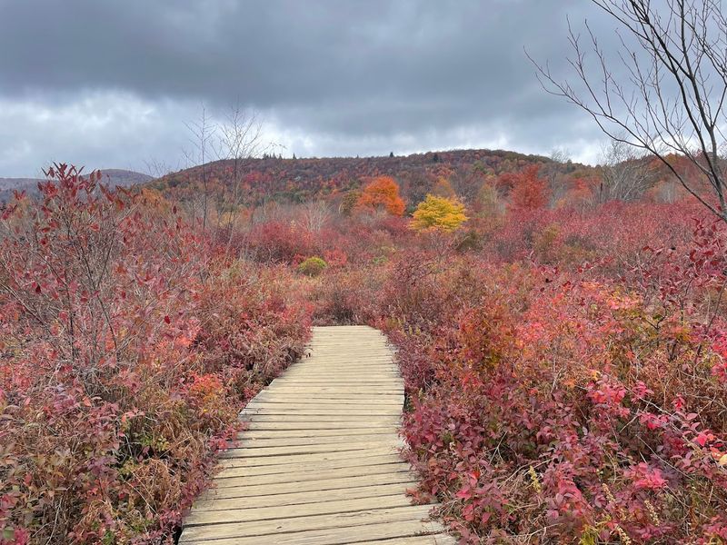 Graveyard Fields Loop — Blue Ridge Parkway, North Carolina