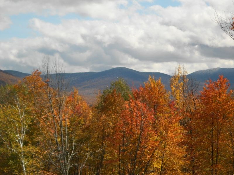 Green Mountain National Forest — Vermont