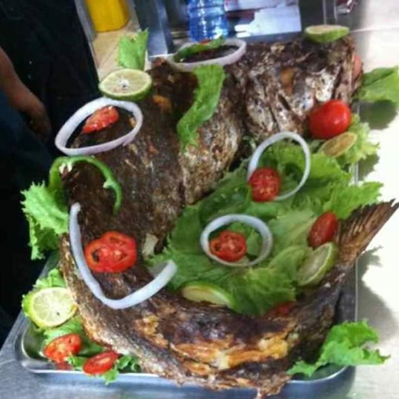 Grilled Fish with Vegetables Grilled Fish with Vegetables