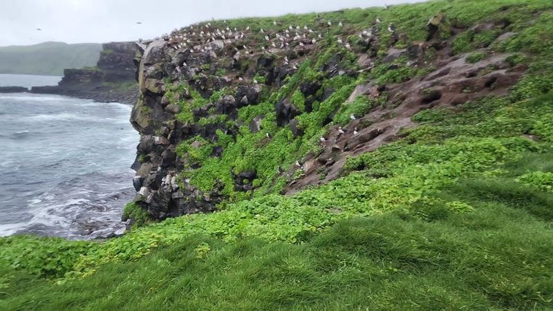 Grimsey, Iceland Grimsey, Iceland