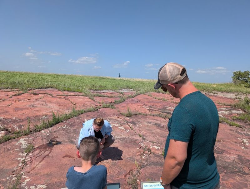 Guided Tours and What They Add to the Experience