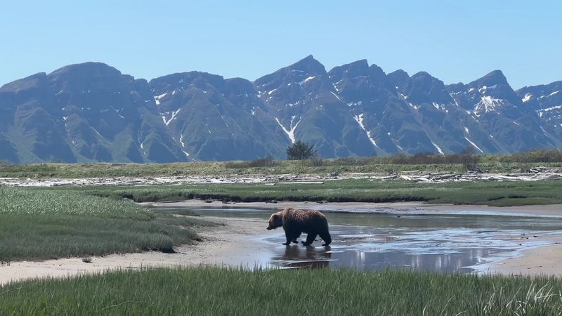 Hallo Bay, Katmai National Park, Alaska, USA Hallo Bay, Katmai National Park, Alaska, USA