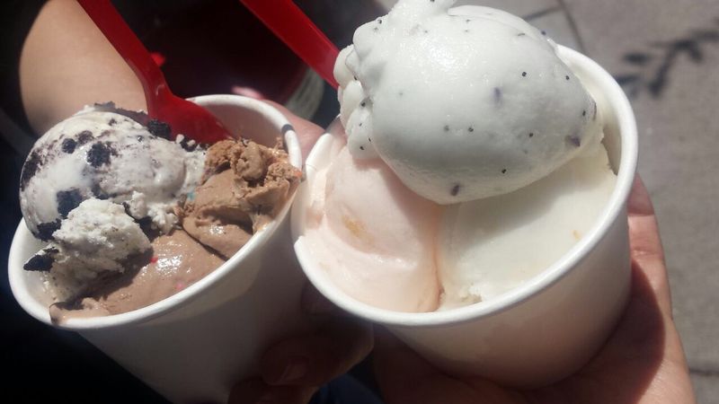 Hard Ice Cream, Soft Serve, and Everything Between Hard Ice Cream, Soft Serve, and Everything Between