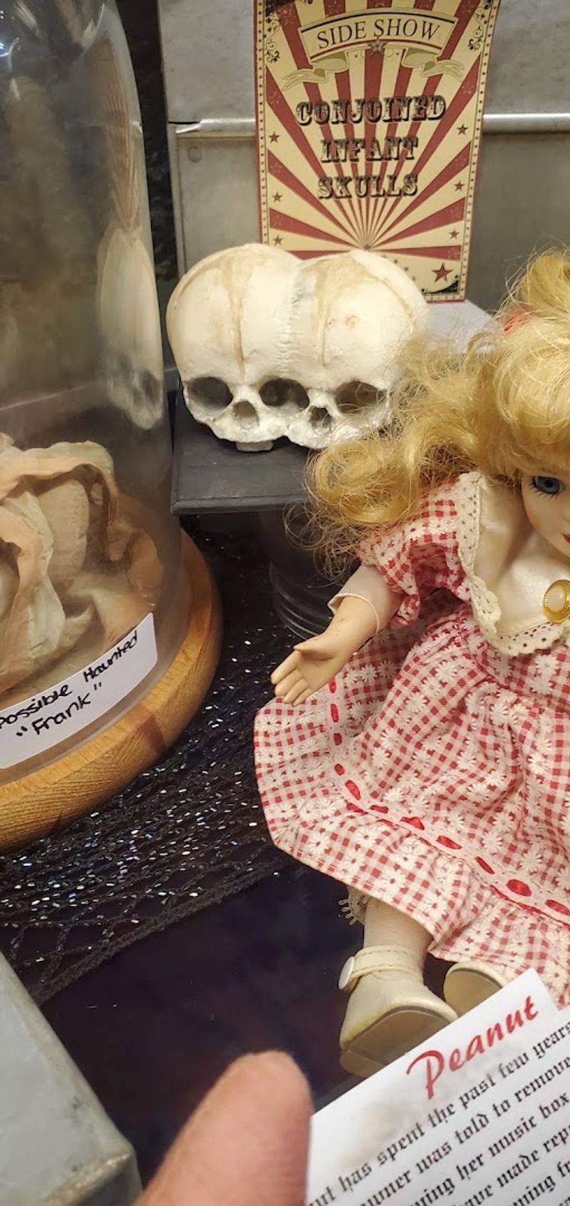 Haunted and Cursed Items: Proceed With Your Own Judgment Haunted and Cursed Items: Proceed With Your Own Judgment