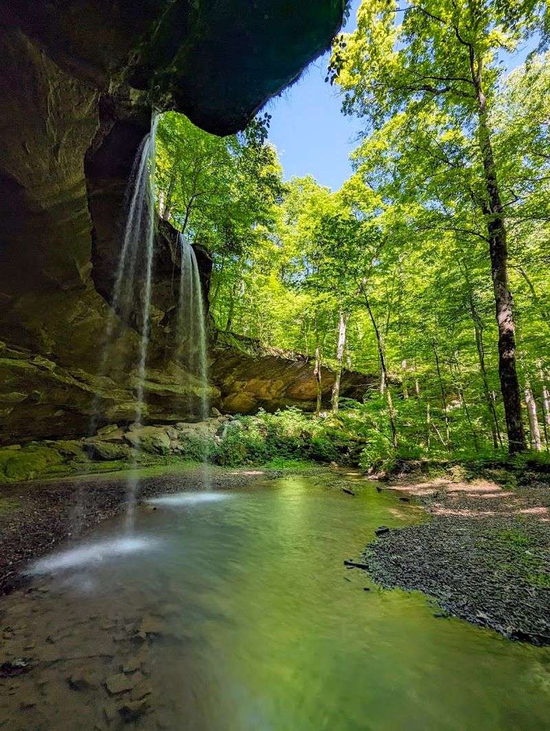 Hemlock Cliffs: The Forest's Most Talked-About Hollow Hemlock Cliffs: The Forest's Most Talked-About Hollow