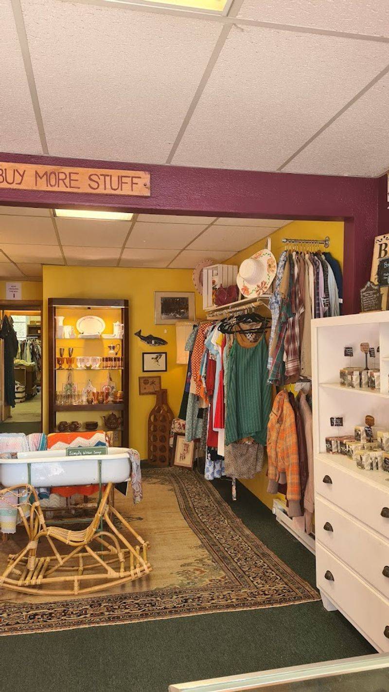 Hidden Gems Vintage, Harrison, Idaho
