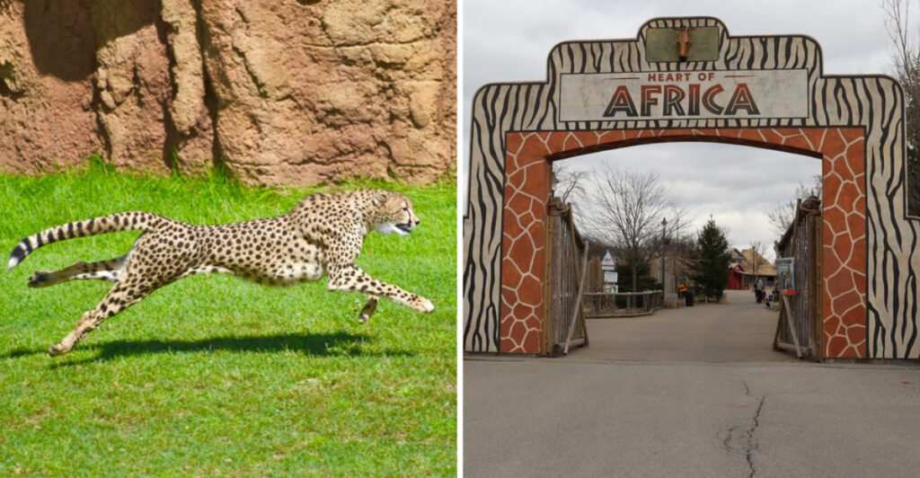 Hidden Inside A Famous Ohio Zoo Is An Adventure That Feels Halfway Around The World