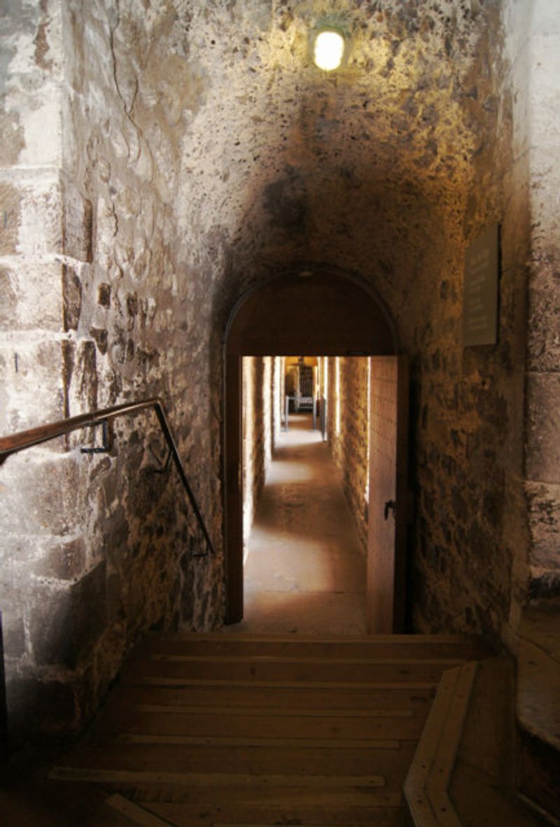Hidden Passages Within the Walls