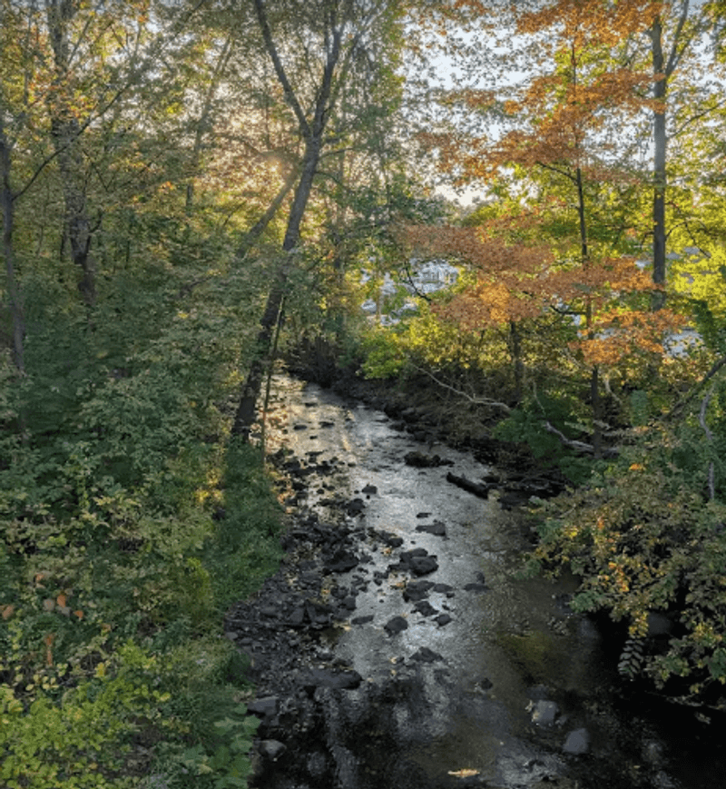 Hidden Trails and Wilder Paths Beyond the Loop Hidden Trails and Wilder Paths Beyond the Loop