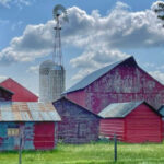 Hidden in Minnesota Is an Amish Community Where Life Moves at a Different Pace