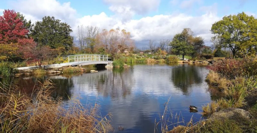 Hidden in Ohio Is a 65-Foot Tower With Stunning Views Most Visitors Miss
