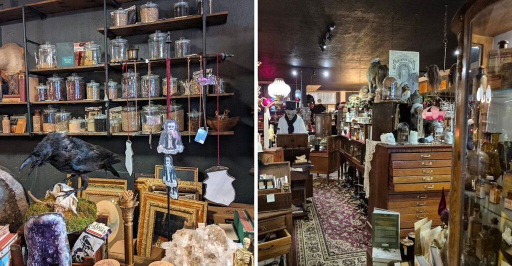 Hidden in Oregon Is a Magical Shop Overflowing With Oddities, Curiosities, and Old-World Wonder