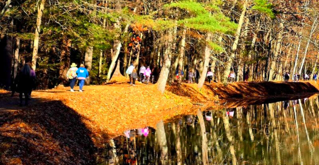 Hidden in the Heart of Nashua, This 325-Acre Park Feels Like a Wilderness Escape