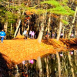 Hidden in the Heart of Nashua, This 325-Acre Park Feels Like a Wilderness Escape