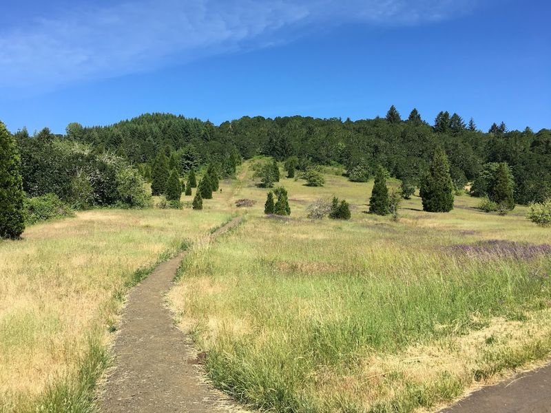 Hike Bald Hill Natural Area