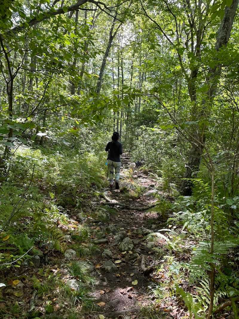 Hiking Beyond the AT: Trails Worth Knowing Hiking Beyond the AT: Trails Worth Knowing