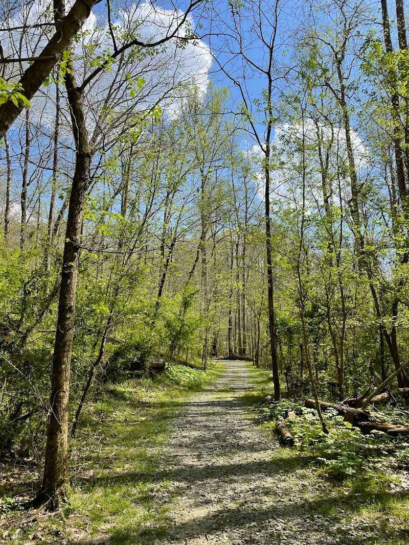 Hiking Trails Along the Yadkin River Hiking Trails Along the Yadkin River