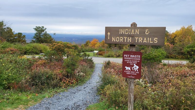 Hiking Trails That Earn Their Views