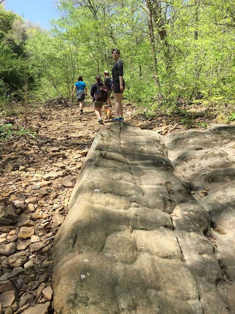 Hiking Trails That Reward Every Step Hiking Trails That Reward Every Step