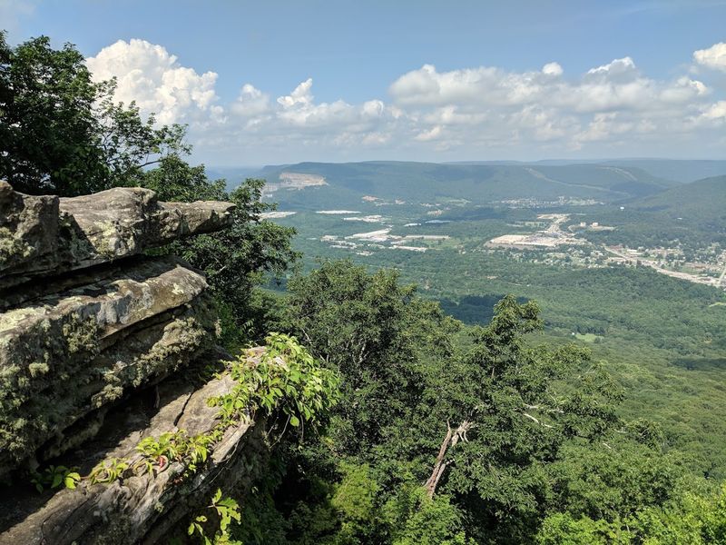 Hiking Trails That Reward the Effort