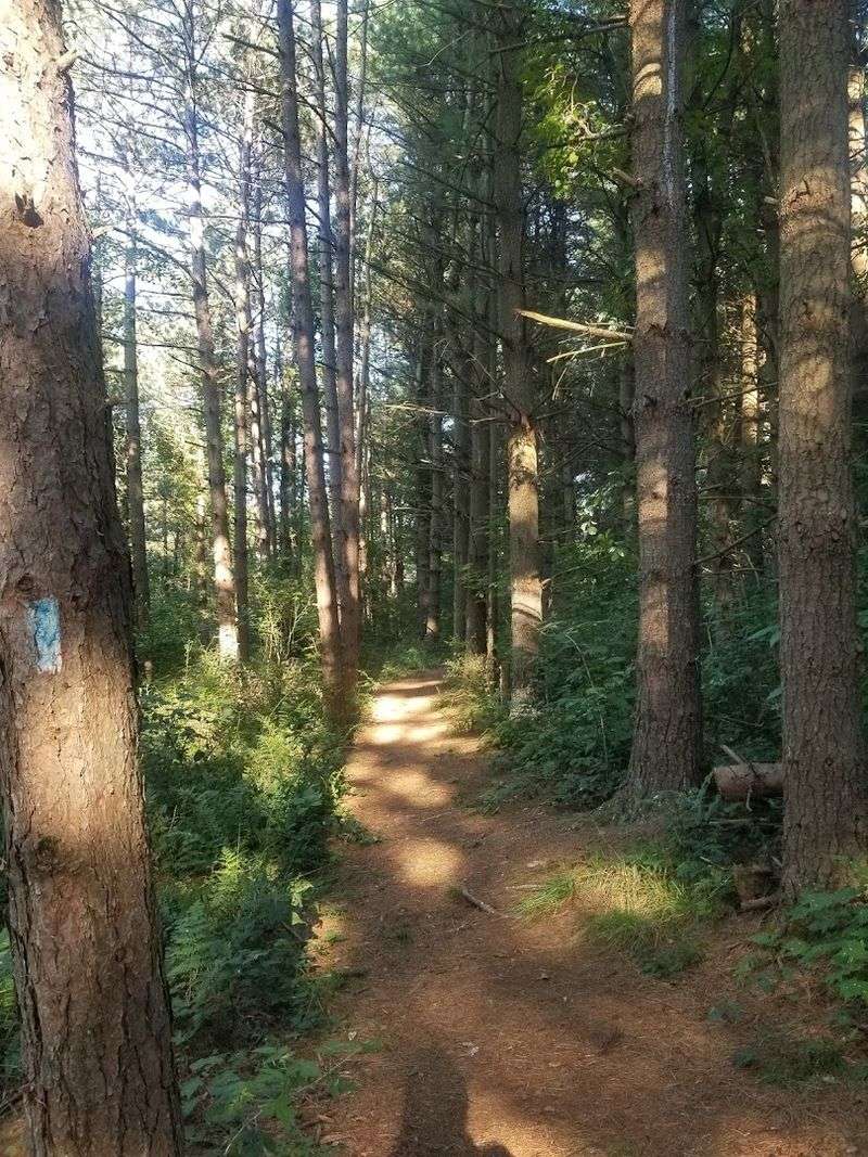 Hiking Trails That Wind Through Forest, Wetland, and Lakeshore Hiking Trails That Wind Through Forest, Wetland, and Lakeshore