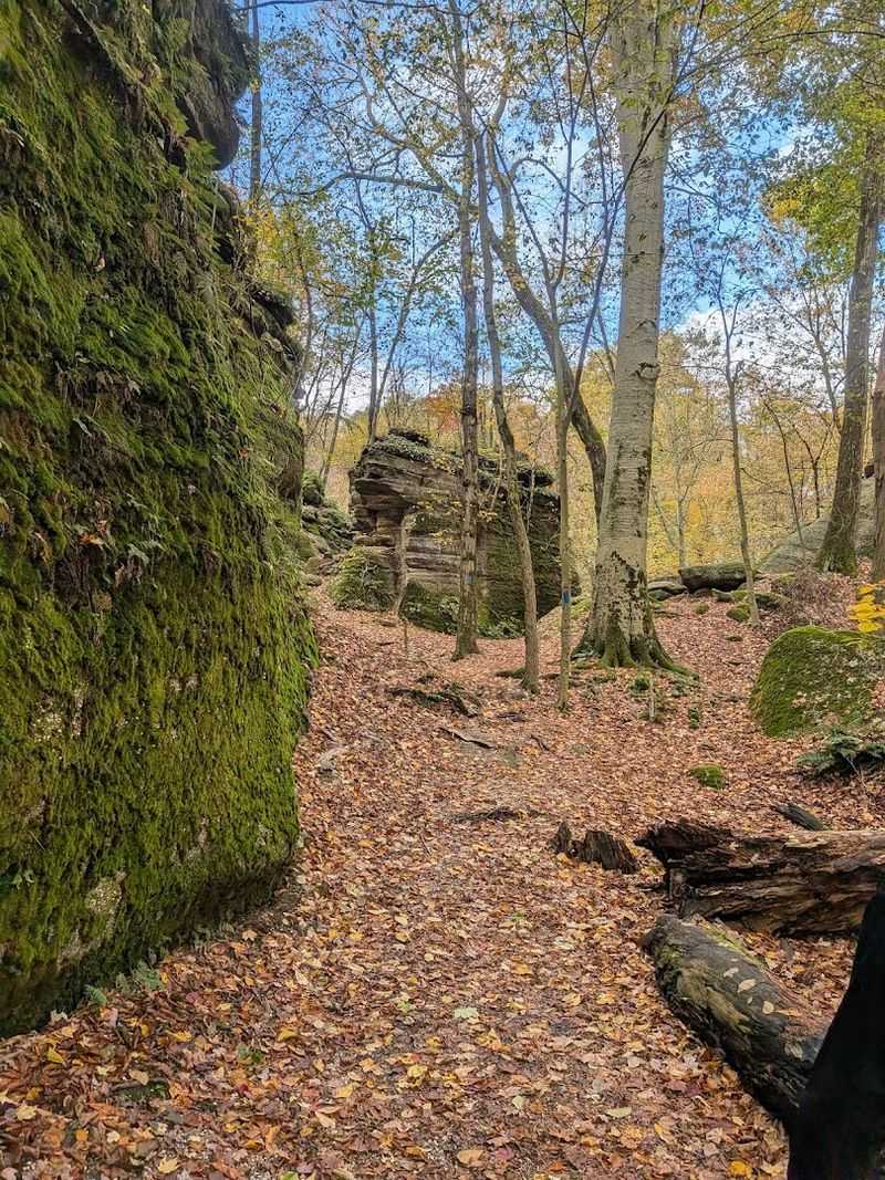 Hiking Trails Through the Ledges Hiking Trails Through the Ledges