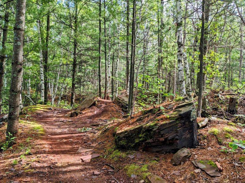 Hiking Trails Worth Every Step