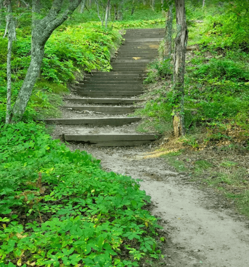 Hiking Trails Worth Lacing Up Your Boots For