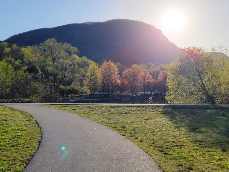 Hiking Trails and Forest Paths Around the Lake Hiking Trails and Forest Paths Around the Lake
