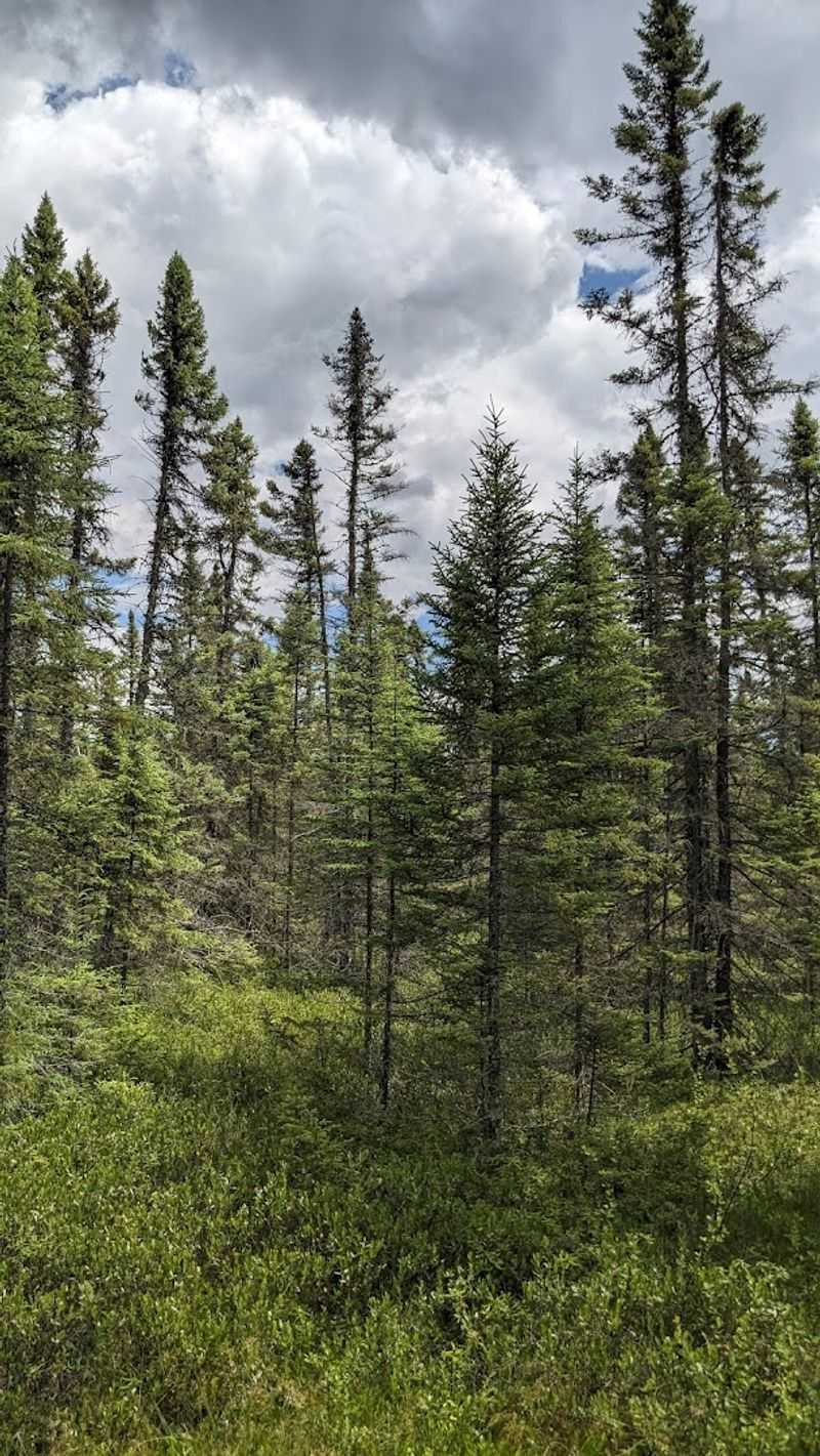 Hiking Trails and Nature Walks in the Area Hiking Trails and Nature Walks in the Area